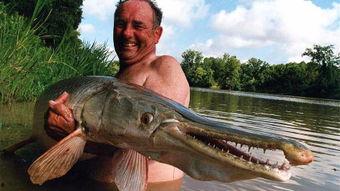 鳄雀鳝最新爆料视频大全,惊悚瞬间直击水下世界