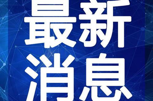 山海风云最新爆料视频,揭秘神秘势力最新动态，揭秘视频曝光惊人内幕
