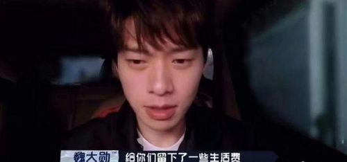 狗仔爆料明星最新,明星最新动态大揭秘！
