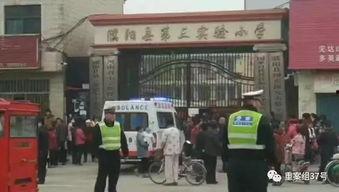 濮阳市最新爆料事件,惊曝惊天秘密，真相即将揭晓！